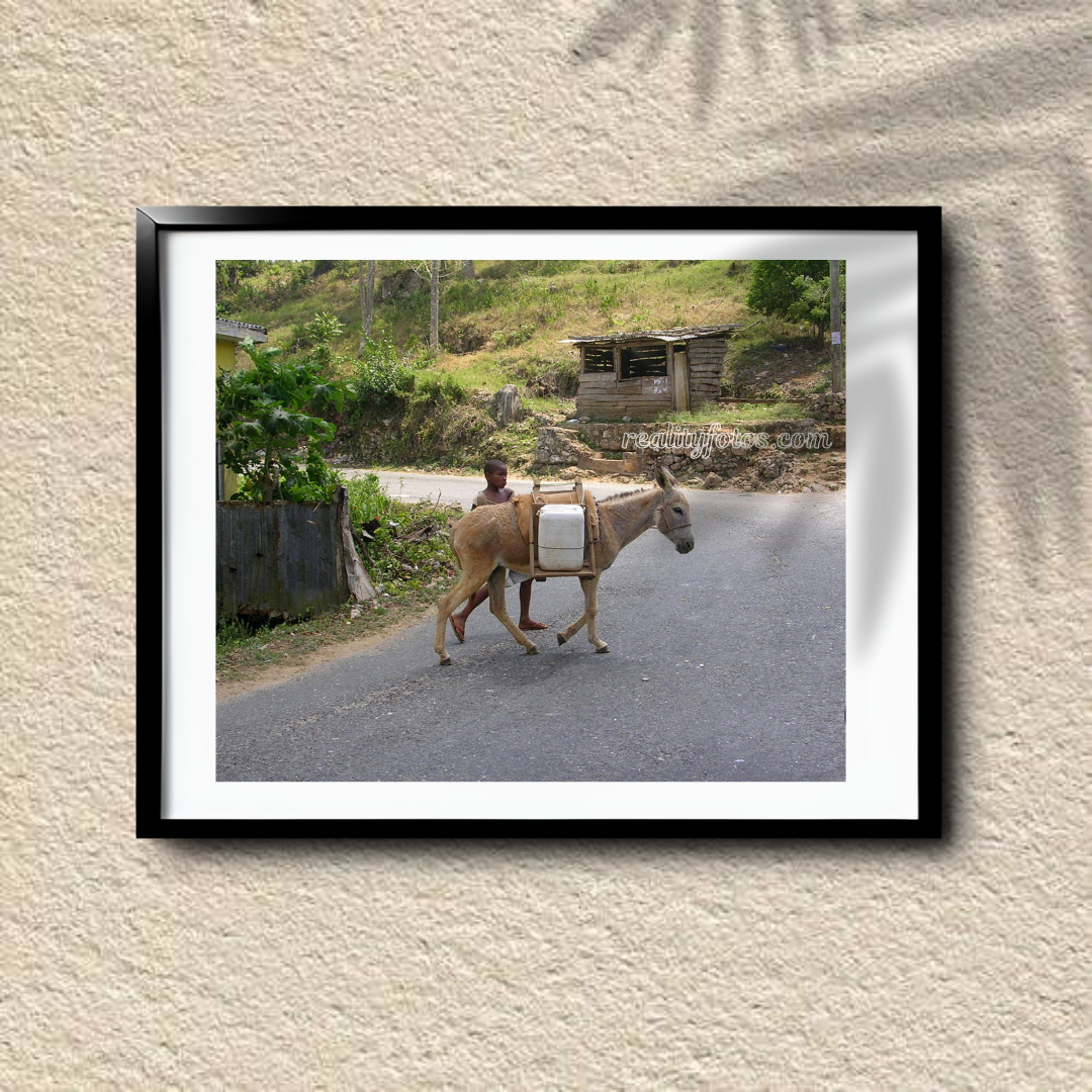 Chores of the Land – Rural Jamaica