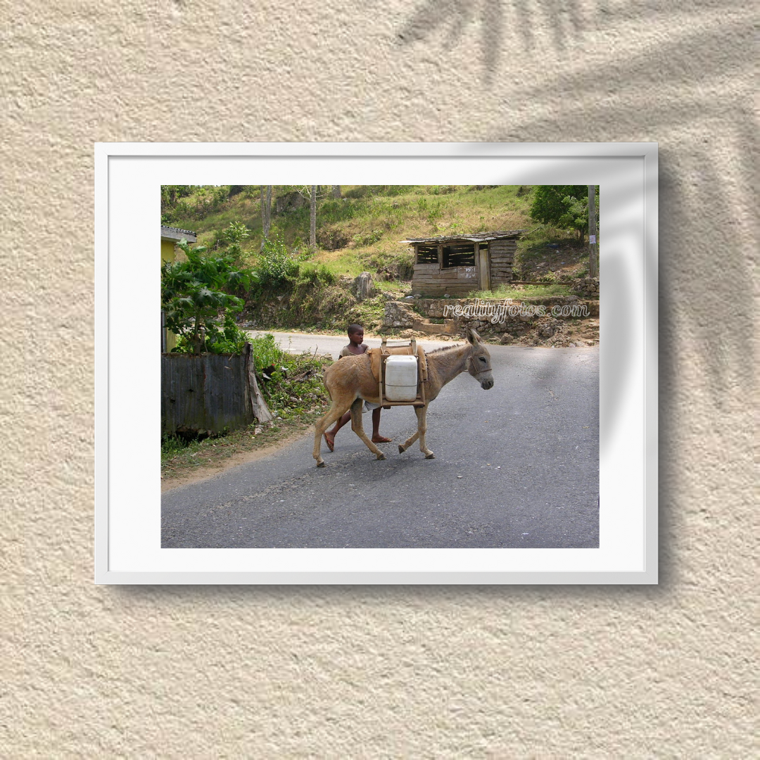 Chores of the Land – Rural Jamaica