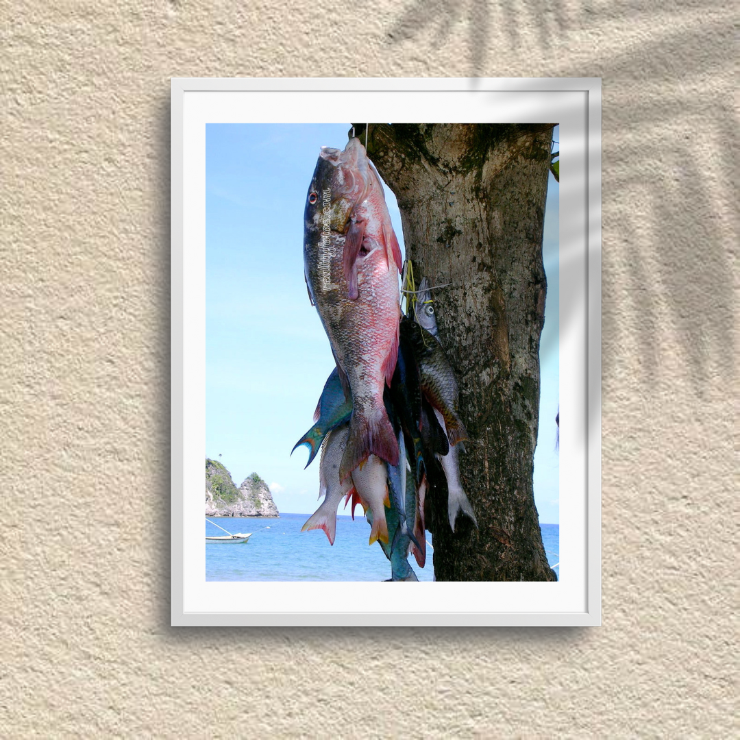 Fresh Catch of the Day