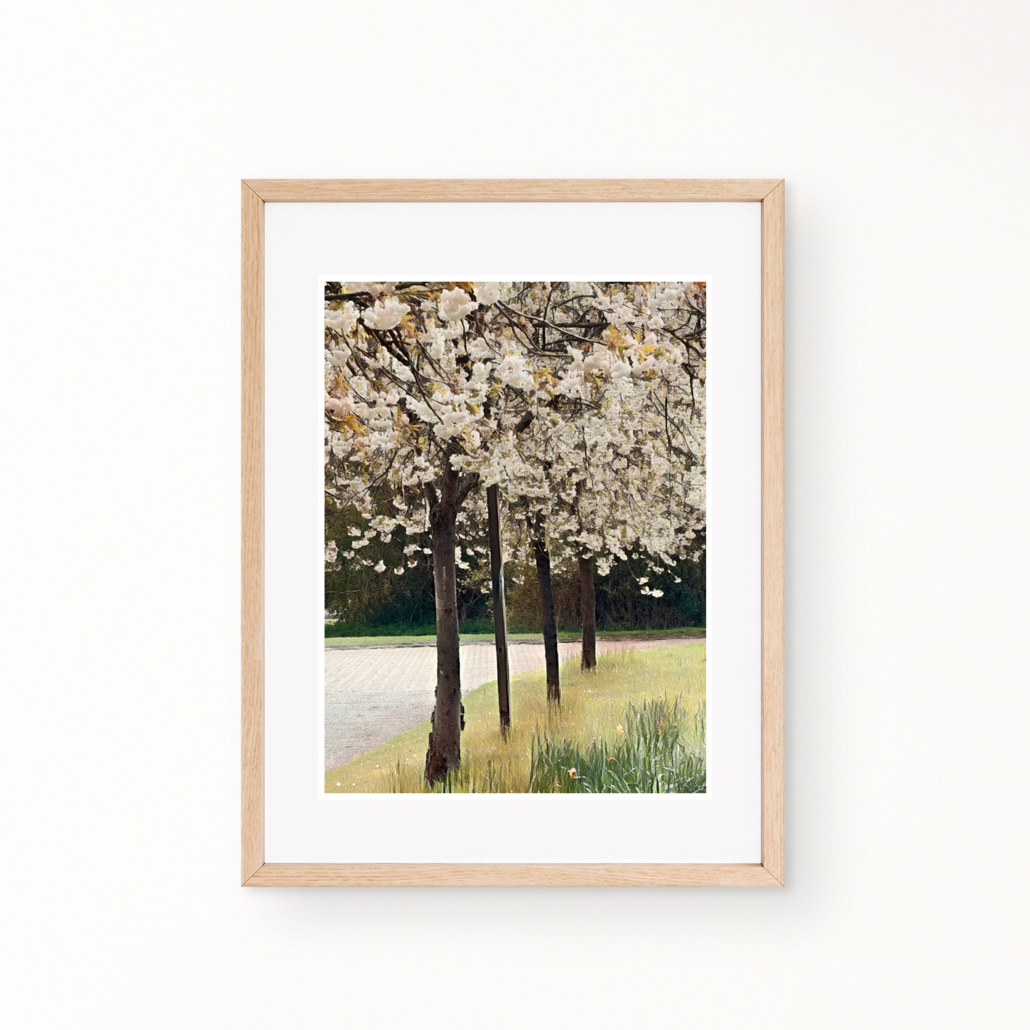 Bloom Blanc