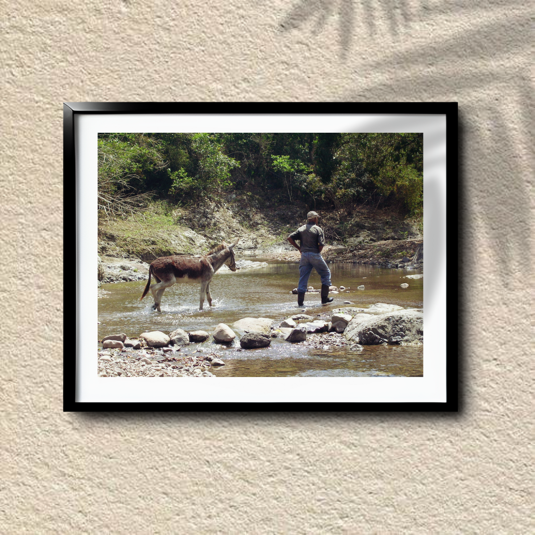 Journey Across the River
