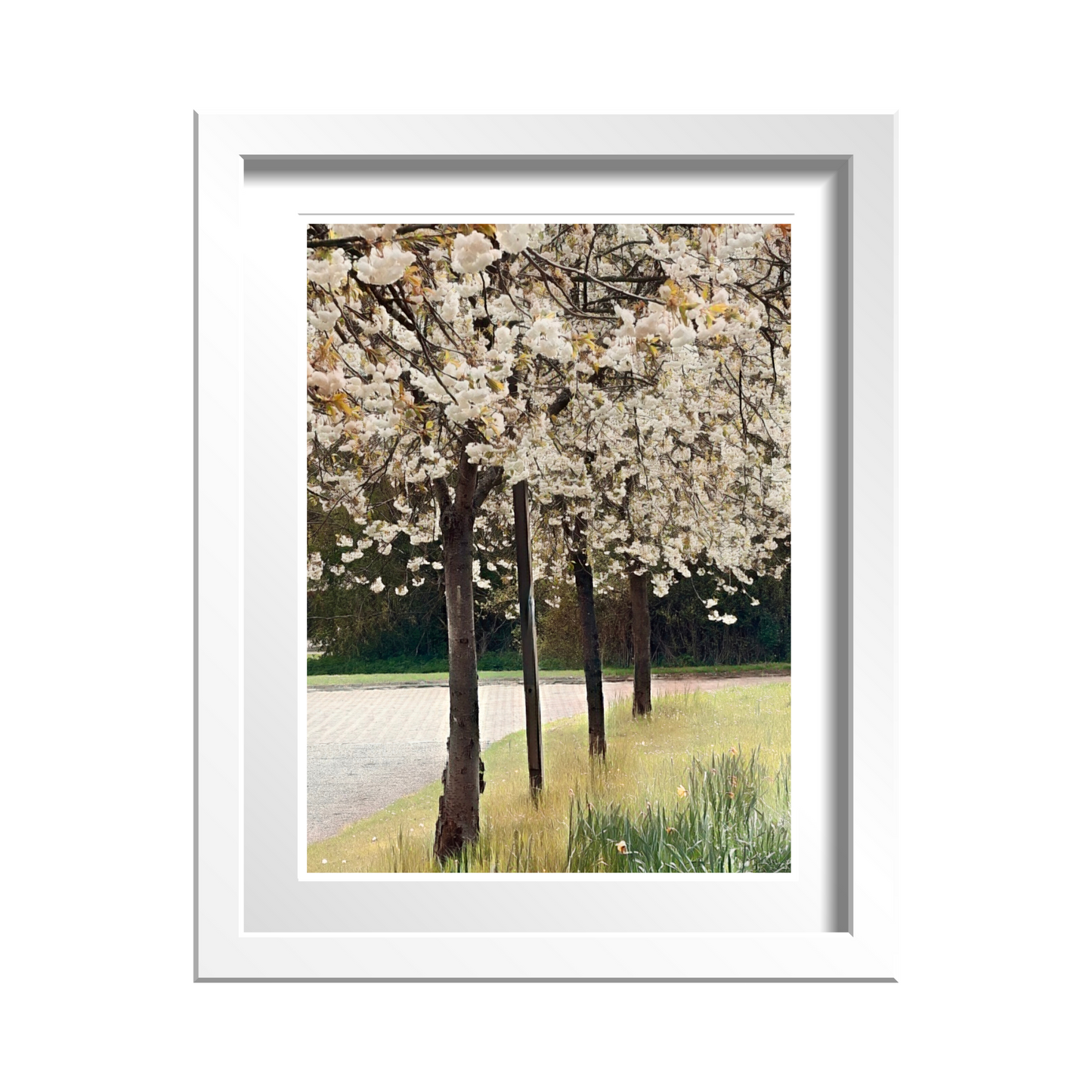 Bloom Blanc