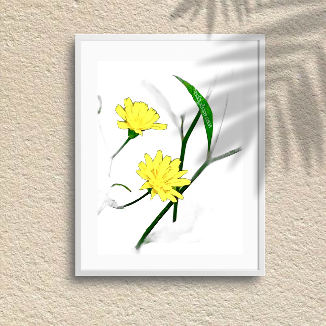 Golden Blossoms
