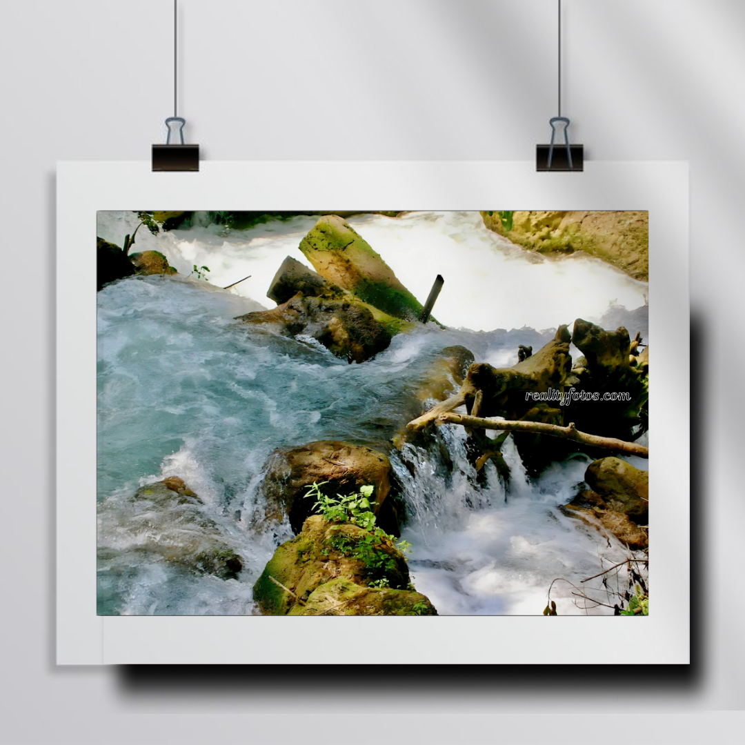 Rocky River - Cranbrook Park