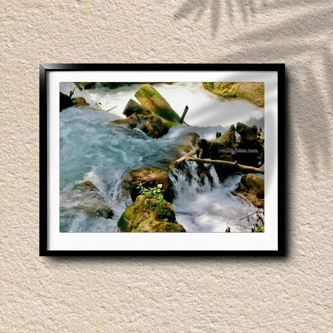 Rocky River - Cranbrook Park