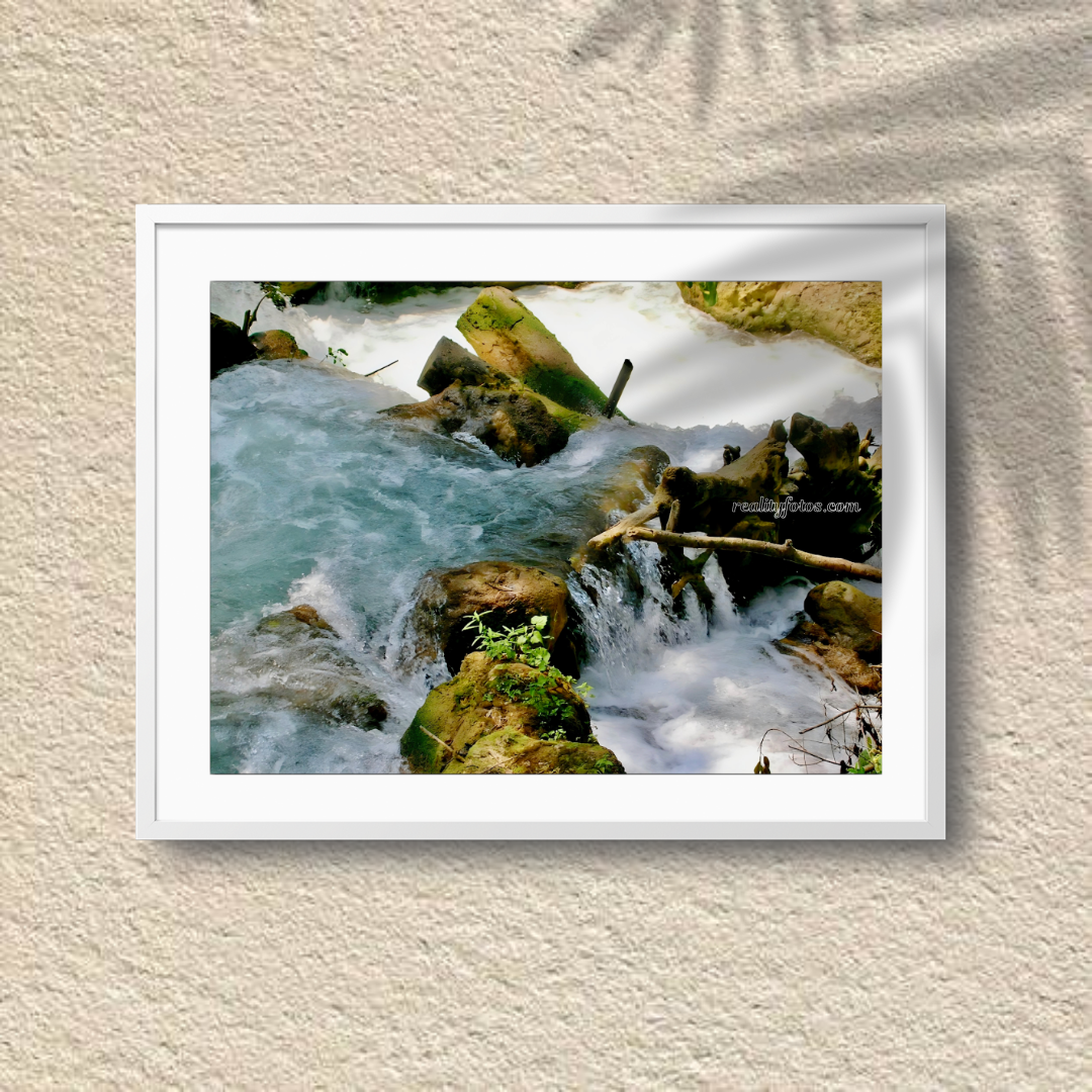 Rocky River - Cranbrook Park