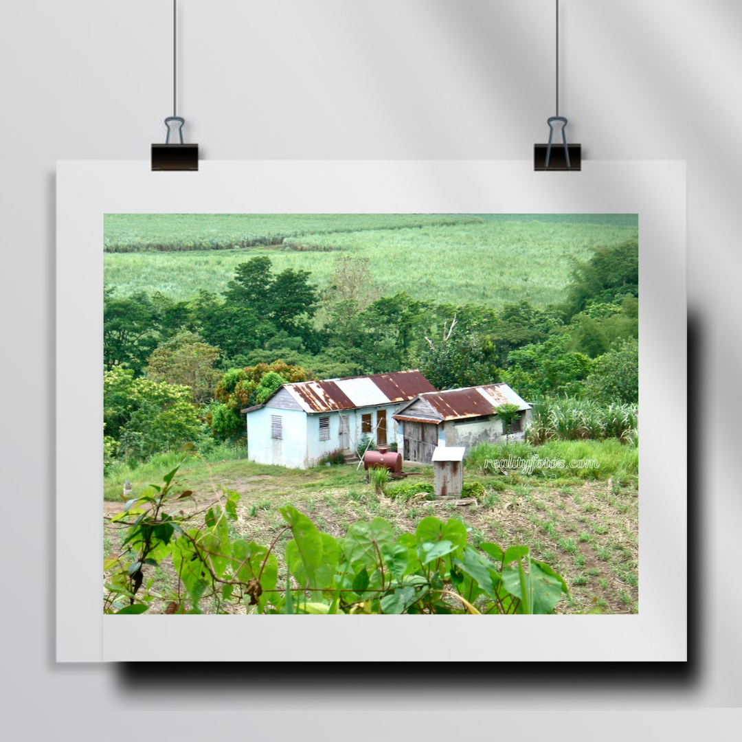 Simple Living: Rural Roots