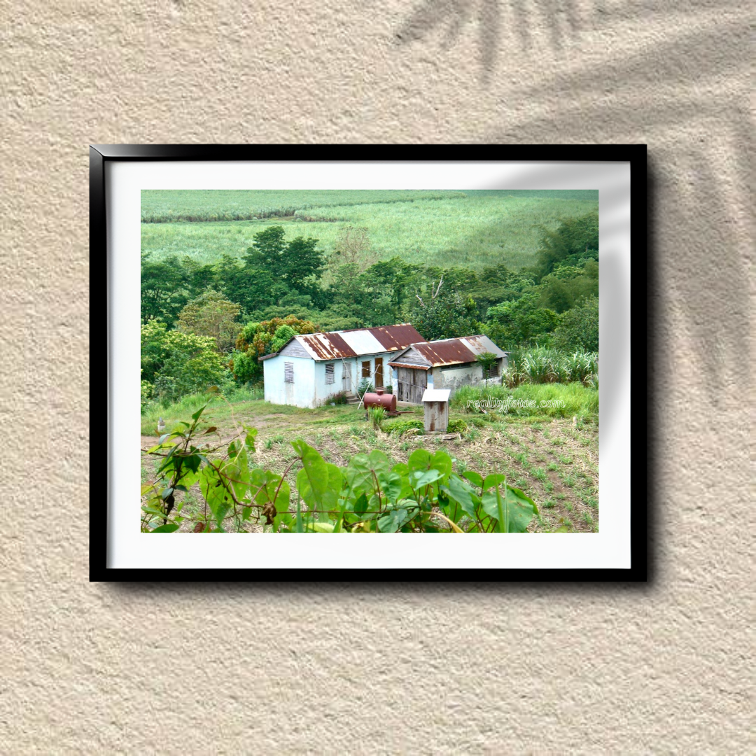 Simple Living: Rural Roots