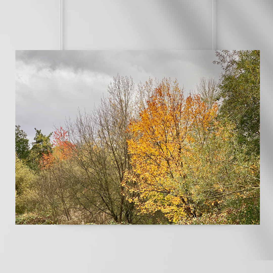 Autumn's Embrace