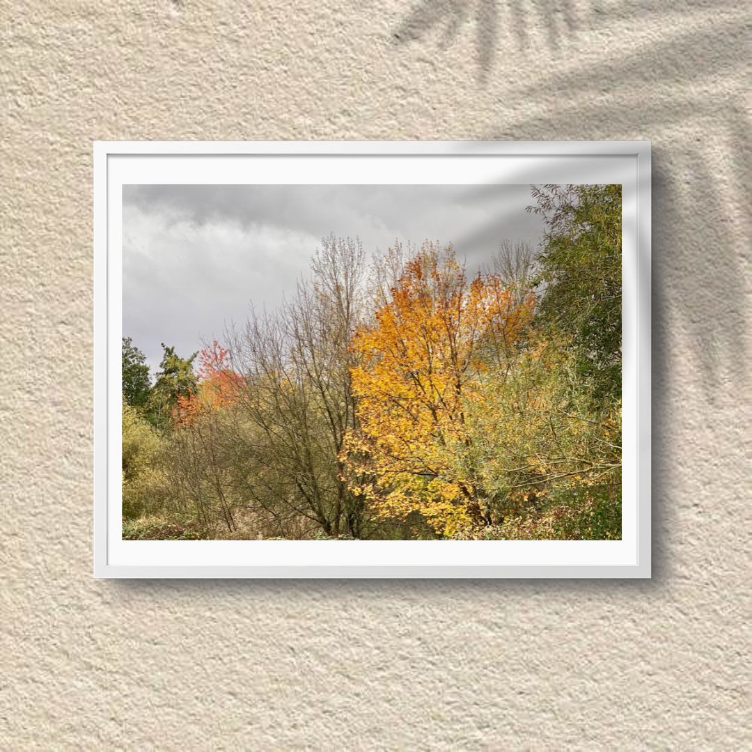 Autumn's Embrace
