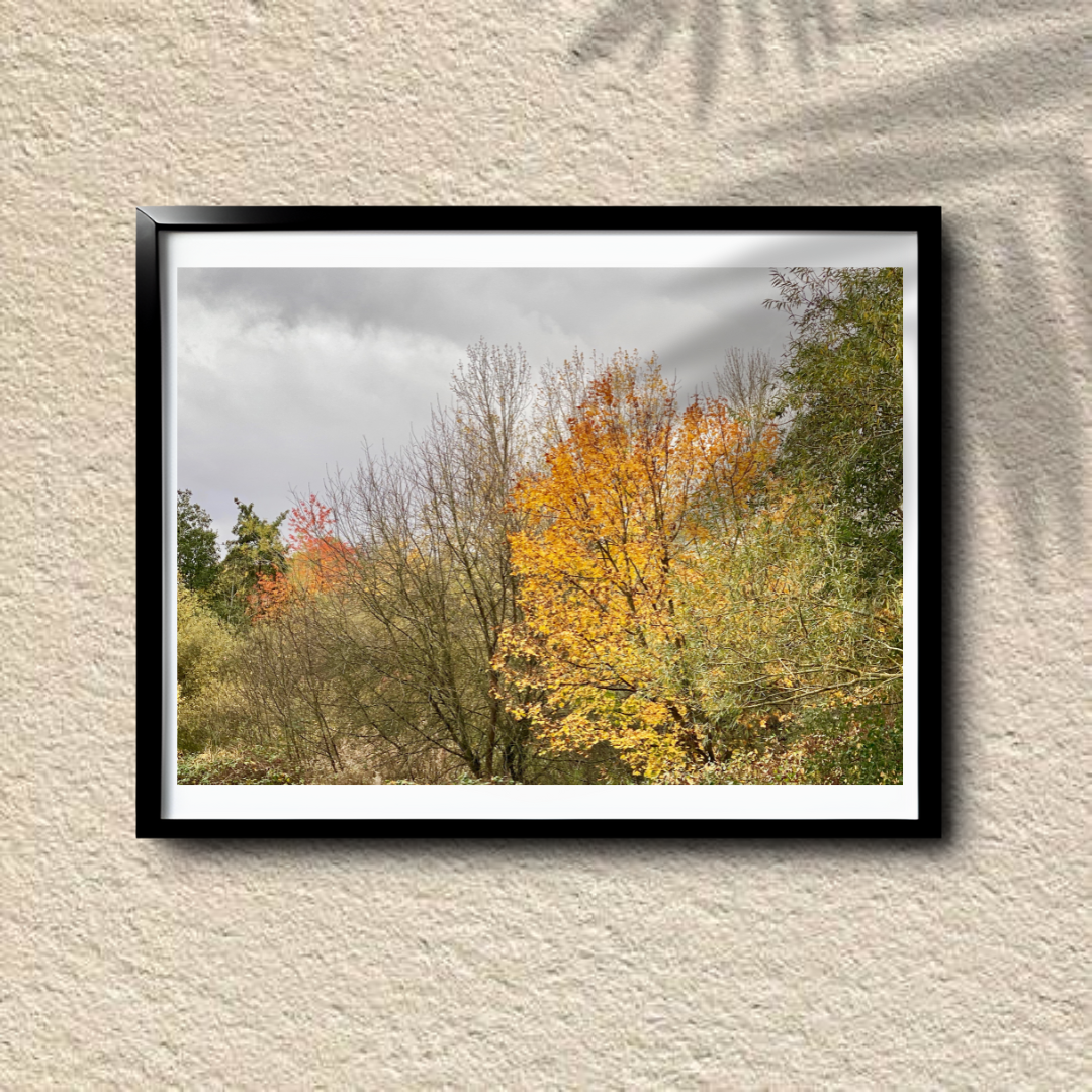 Autumn's Embrace