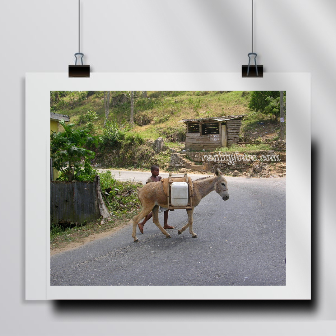 Chores of the Land – Rural Jamaica