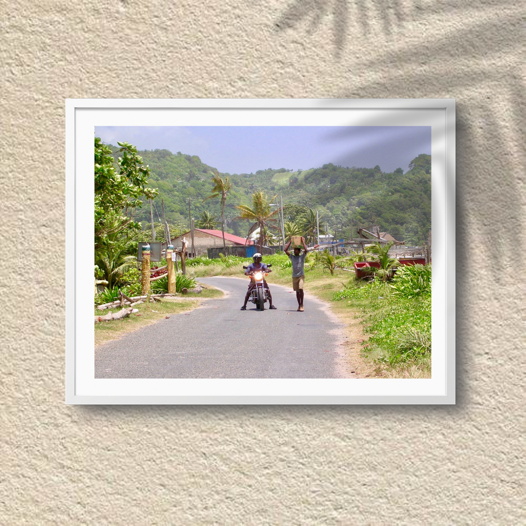 Country Companions – Rural Jamaica