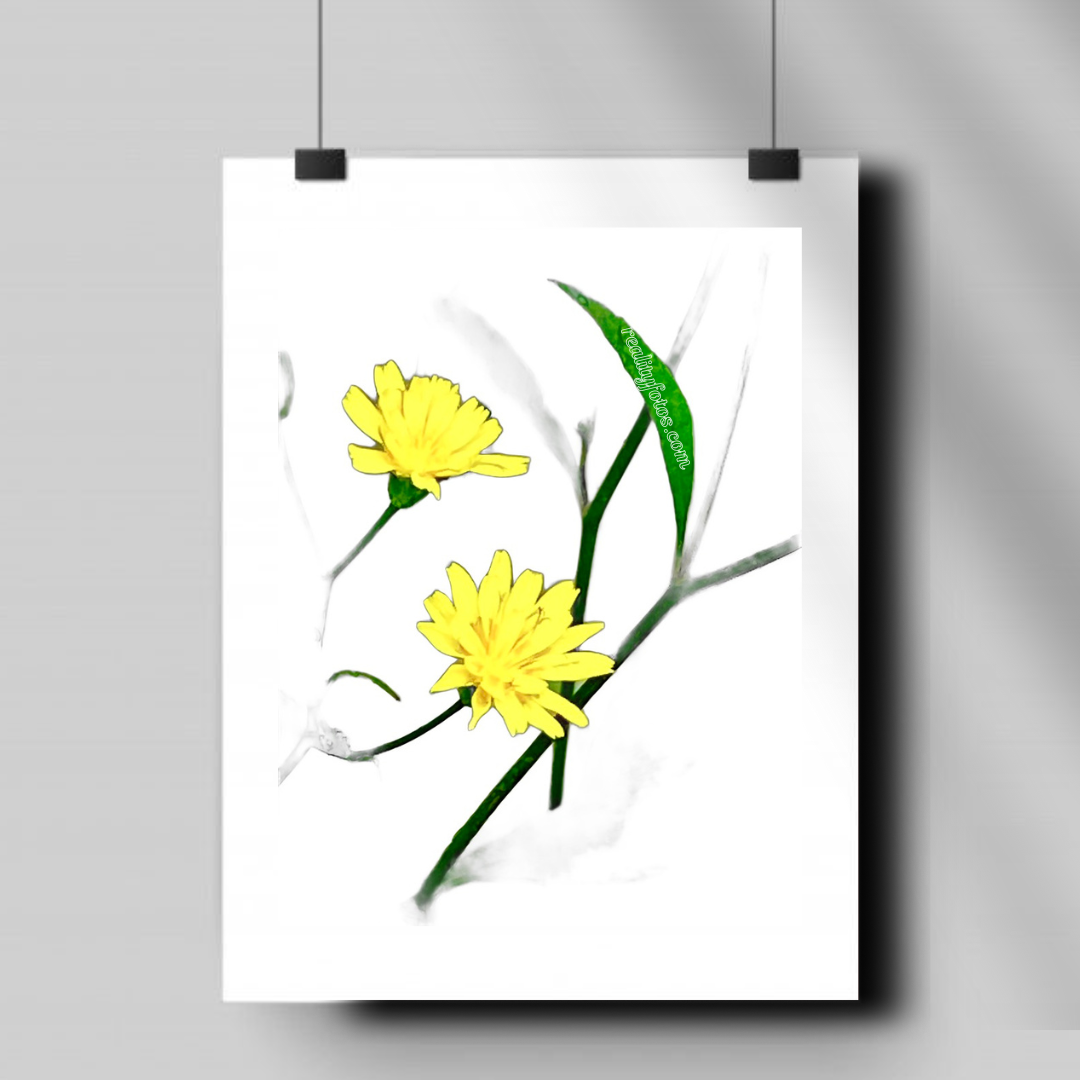 Golden Blossoms