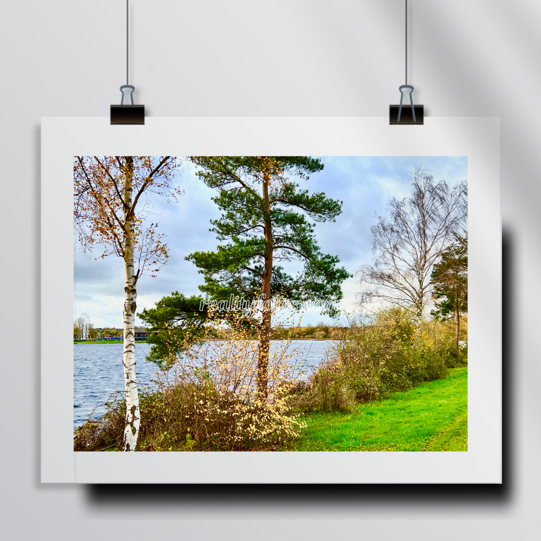Lakeside Beauty