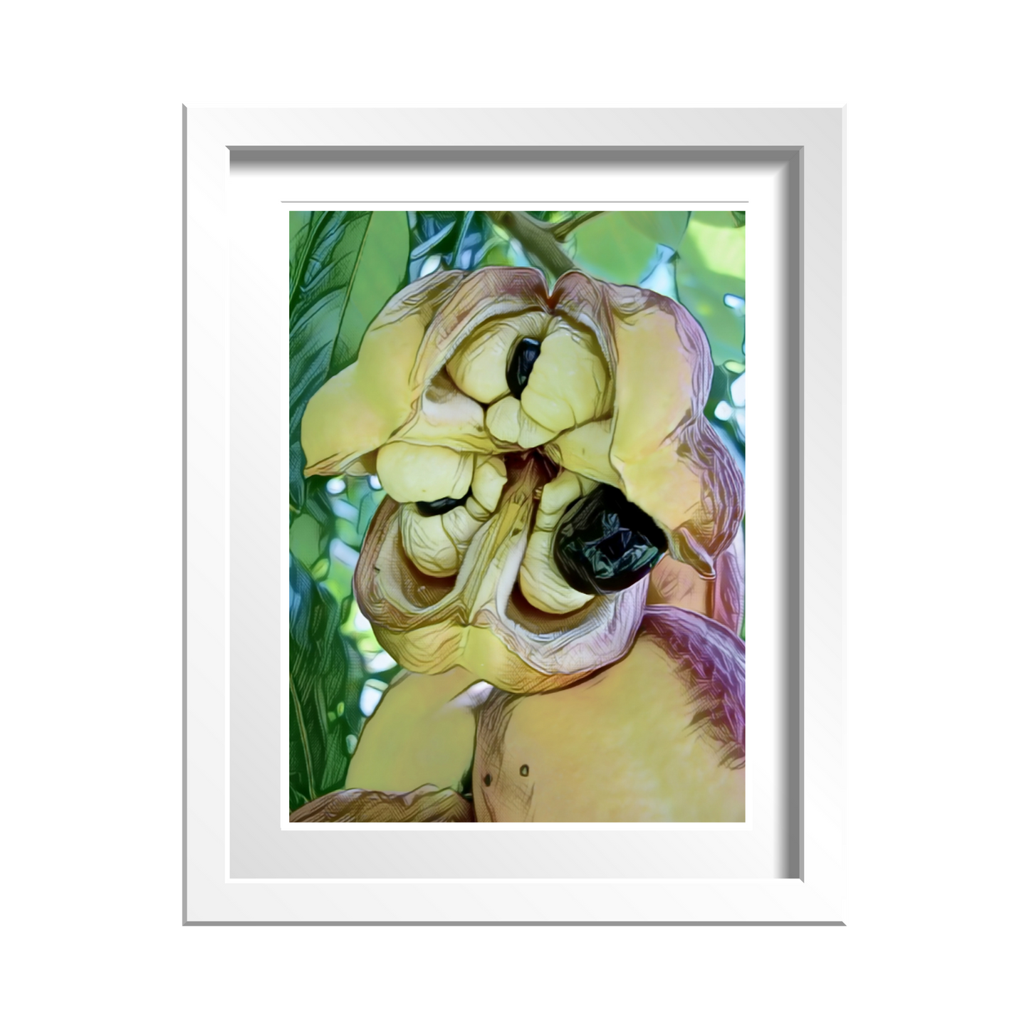 Ackee - Jamaica National Dish