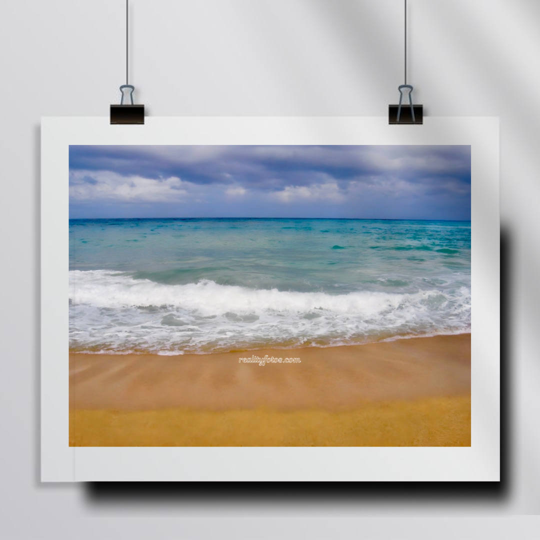 Tranquil Shores