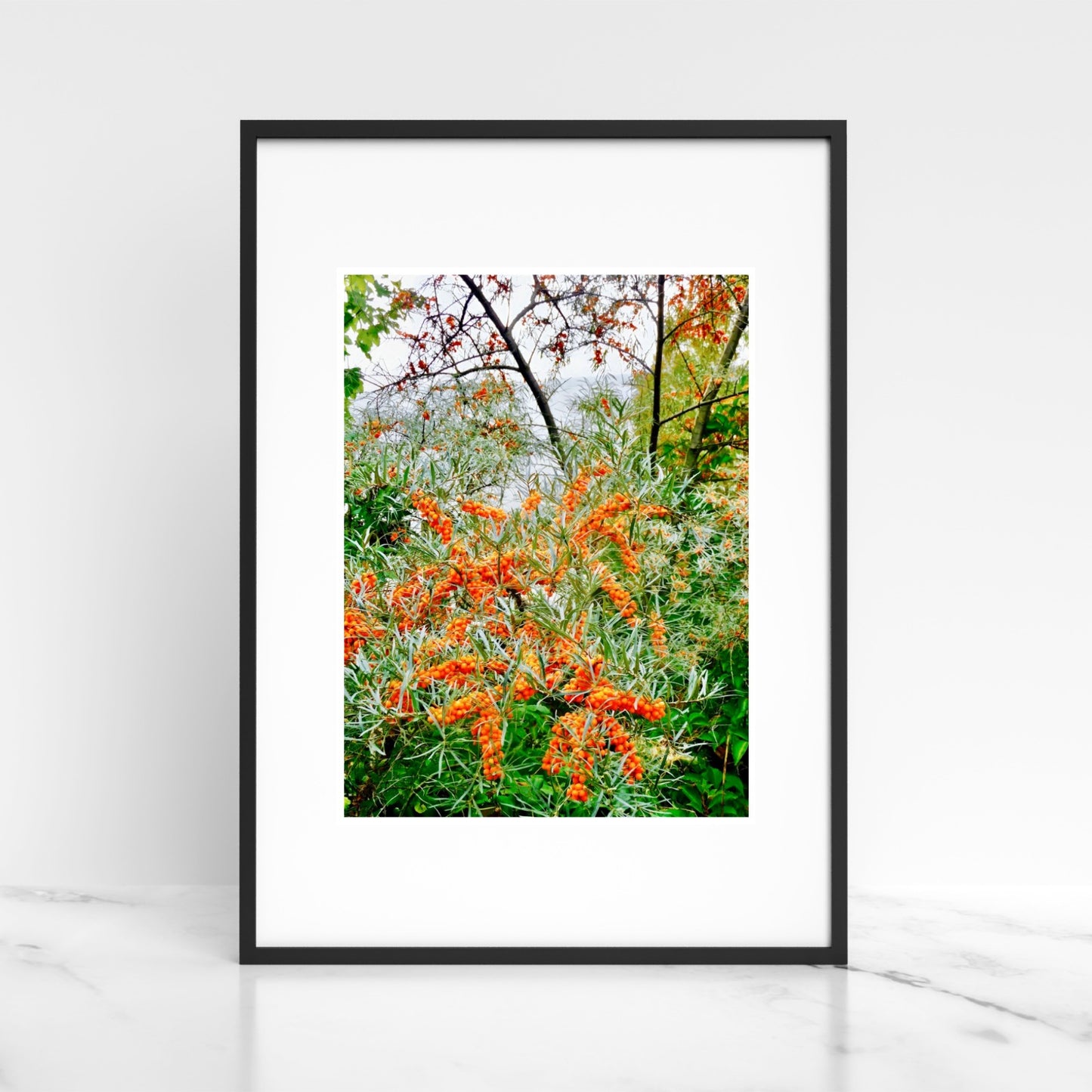 Orange Berries