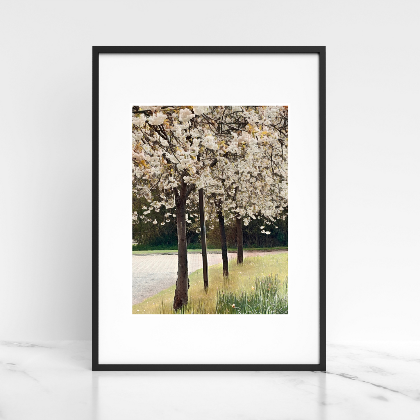 Bloom Blanc