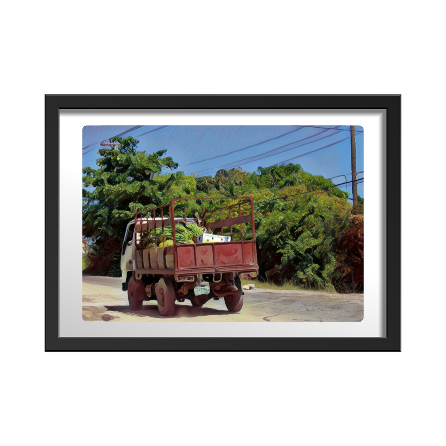 Green Banana on Back of Truck to Market