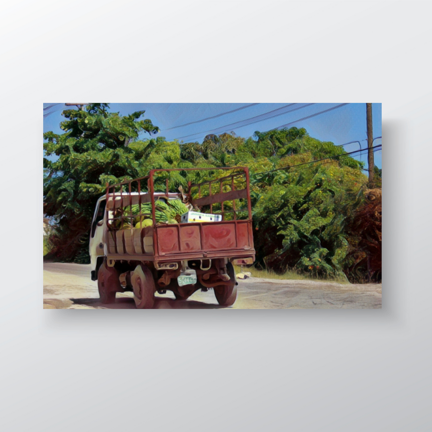 Green Banana on Back of Truck to Market