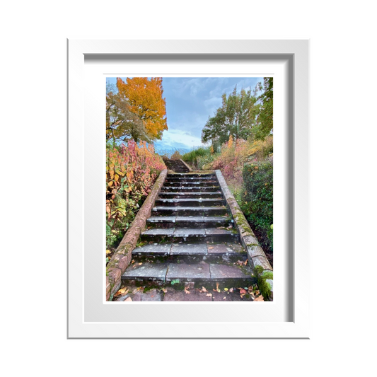 Stairway to Garden